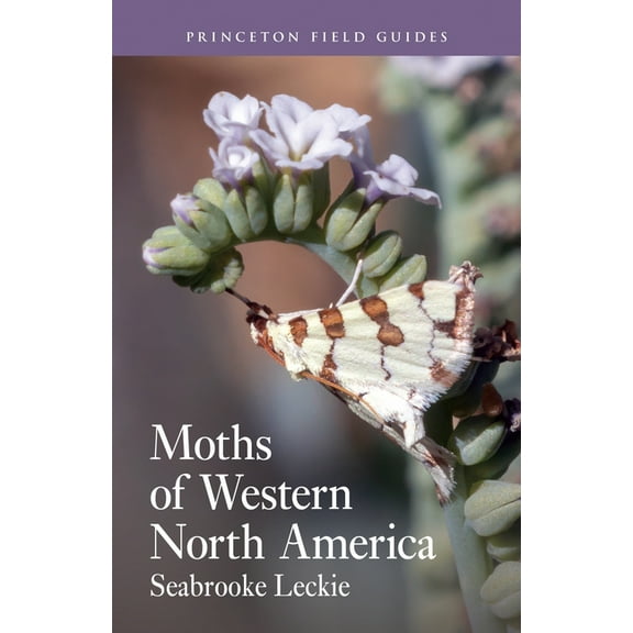 Princeton Field Guides Moths of Western North America, (Paperback)