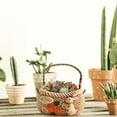 thumbnail image 4 of Creative Rabbit Shaped Breathable Plant Flowerpot Succulent Plant Flowerpot With Handle, 4 of 14