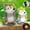 G, variant on Sruoe Garden Statues for Outside, Garden Decorations Outdoor, Garden Decor with LED Light, Garden Solar Lights, Solar Garden Decor, Gardening Gifts, Animal Garden Statue for Garden Lawn Pathway Yard
