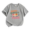 thumbnail image 4 of IWRICH Girls Cutest Pumpkins in the Patch T-Shirt Halloween Short Sleeve Crew Neck Tees,Size 2-13 Years Grey 110, 4 of 4