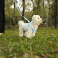 thumbnail image 7 of Dog Harness and Leash Set, No Pull Dog Vest Harness for Walking and Training, Adjustable, Easy Control and Breathable Pet Harness for Small Dogs, 7 of 7