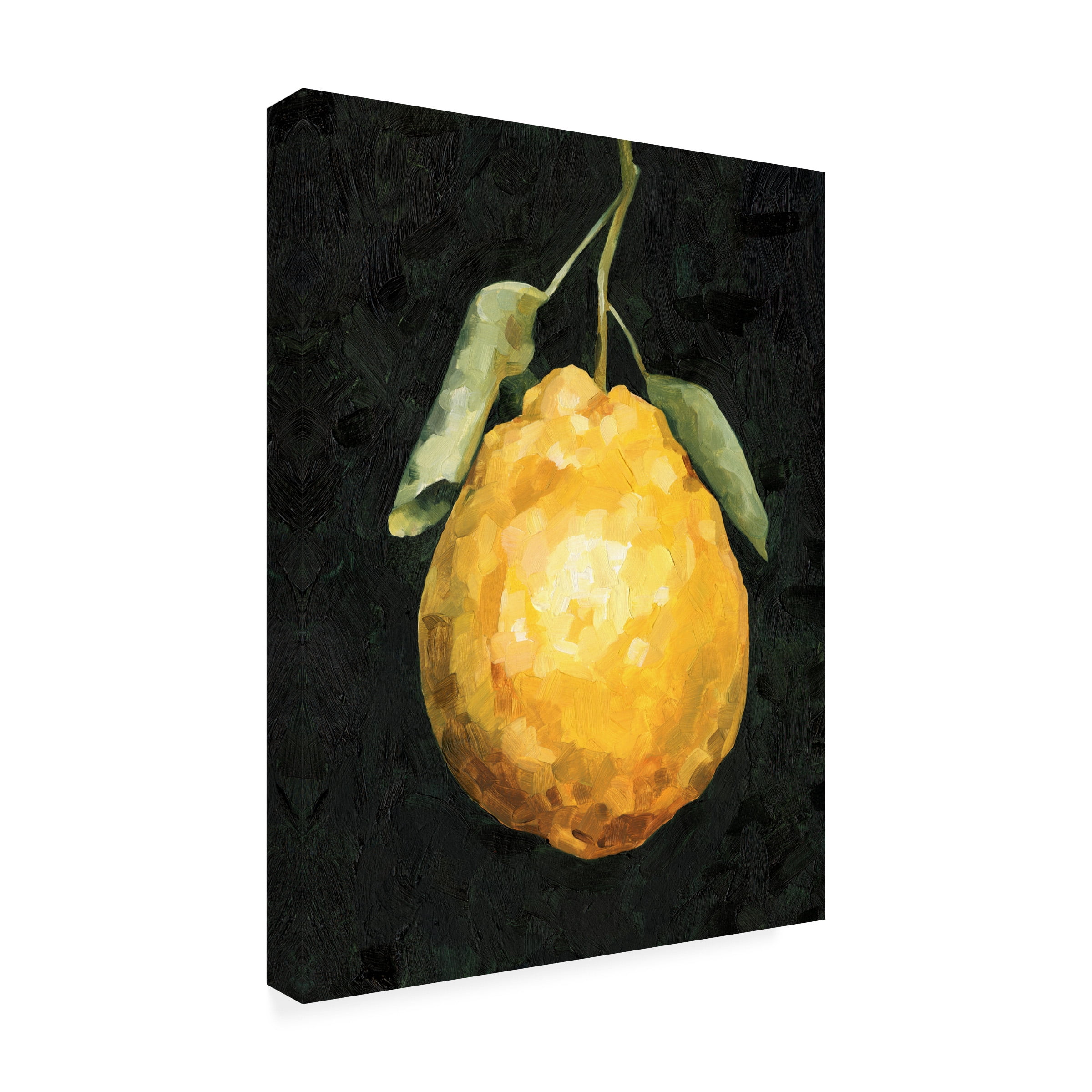Emma Caroline 'Dark Lemon II' Canvas Art
