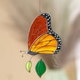 thumbnail image 5 of Butterfly Sun Catchers Colorful Chandelier Pendant Hummingbird Wall Hanging Tree Window Ornament (Charming Colors Butterfly Style) Flower Party Decorations, 5 of 5