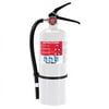 First Alert 8275570 5 lbs. Fire Extinguisher for Home and Workshops US Coast Guard Agency Approval