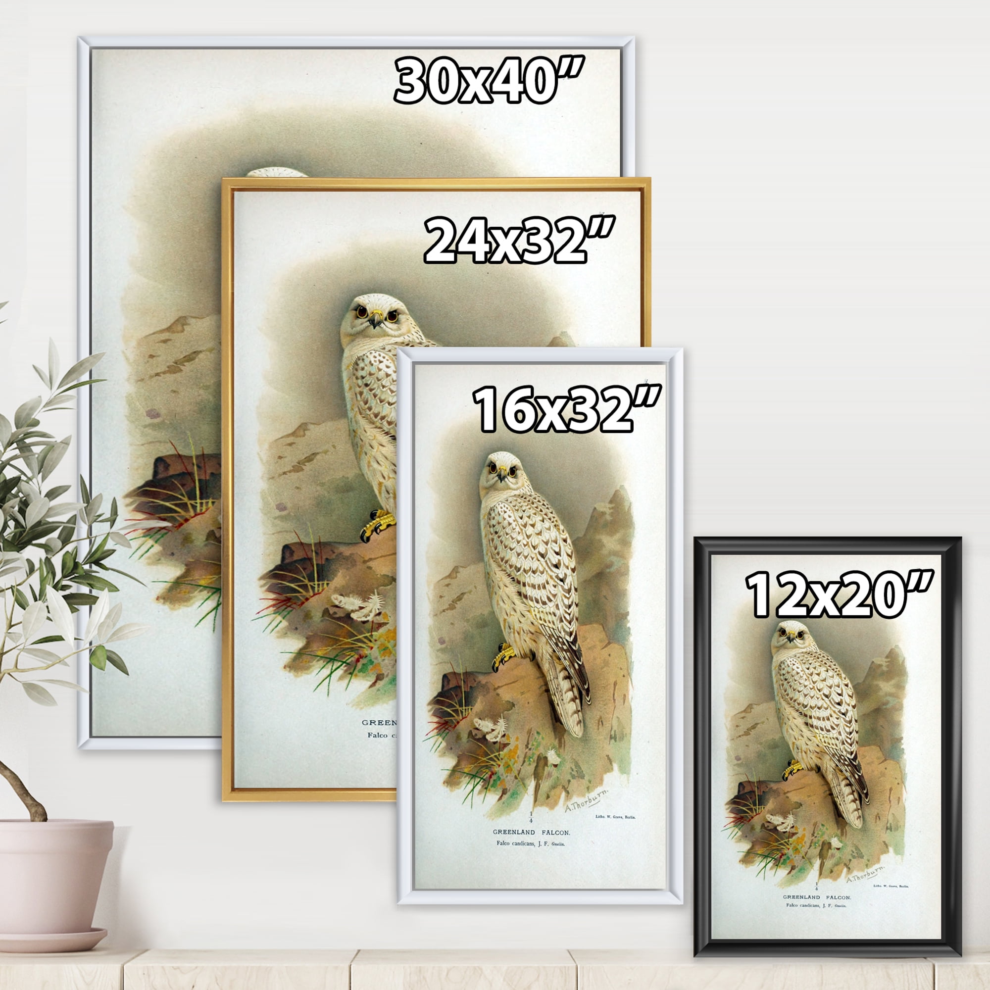 Ancient Bird Life VII 24 in x 32 in Framed Painting Canvas Art Print, by Designart