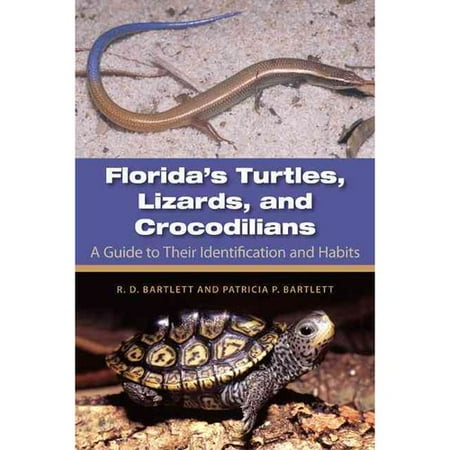 Florida S Turtles Lizards And Crocodilians A Guide To