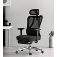 thumbnail image 2 of Hbada P3 Ergonomic Office Chair with 2D Adjustable Armrest, Office Chair with 2D Adjustable Lumbar Support, Computer Chair with Tilt Function, Desk Chair with Footrest Black, 2 of 11