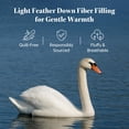 Year-round Queen (U.S. Standard) Goose Down Fiber Comforter Cotton ...