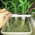 thumbnail image 4 of jiaroswwei Indoor 6 Holes Hydroponic System Soilless Cultivation Plant Nursery Box Grow Kit, 4 of 8