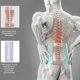 thumbnail image 1 of Faja lumbar calefactora magnética, cinturón de soporte lumbar ajustable, cinturón de soporte lumbar ajustable, cinturón recortador de sudor, funcionalidad de alta precisión, 1 of 14