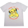 thumbnail image 2 of Disney Boys 3-Pack T-Shirts: Wide Variety Includes Lion King, Cars, Mickey Mouse, 2 of 4