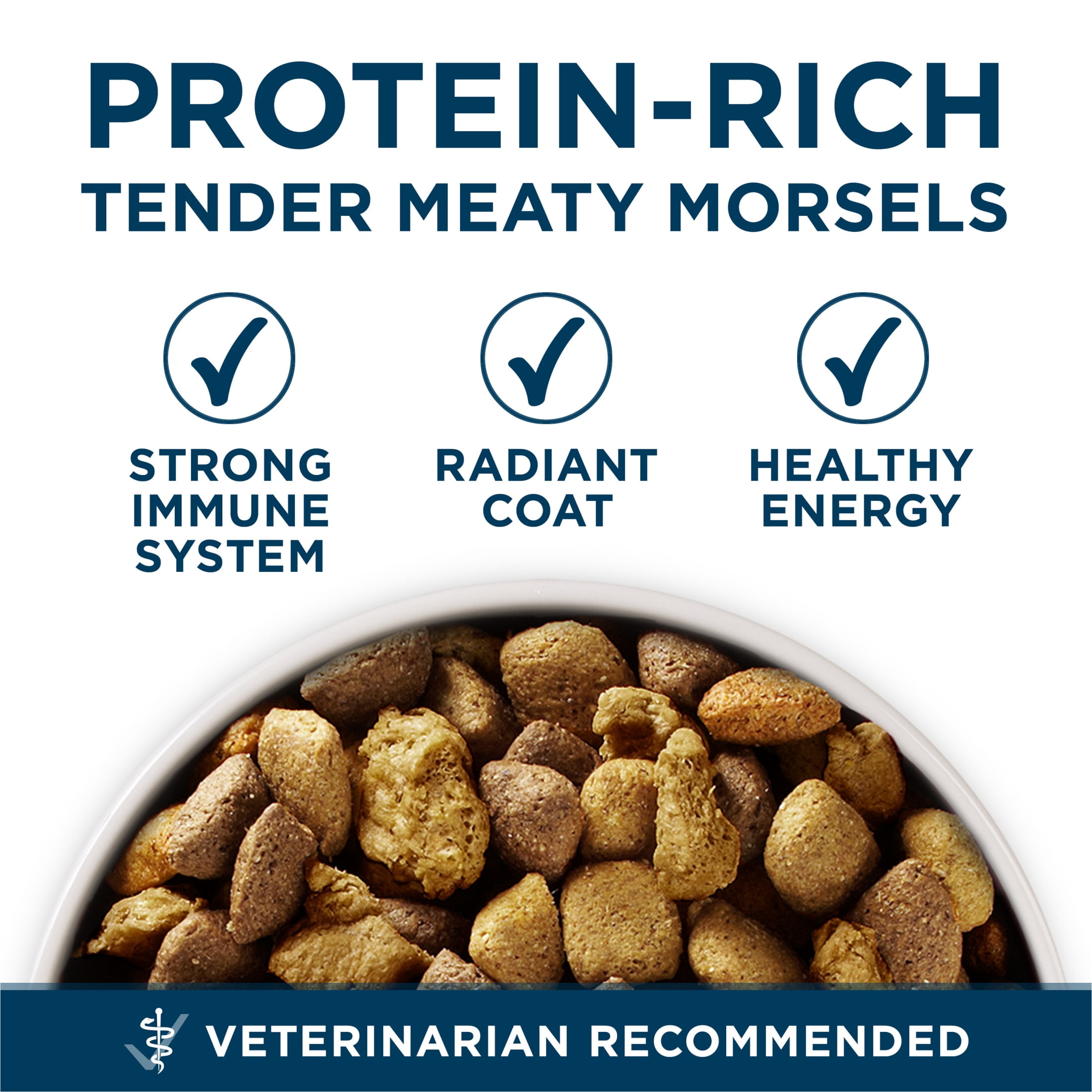 Purina One +Plus Dry Dog Food for Large  Adult Dogs High Protein, Real Chicken, 31.1 lb Bag