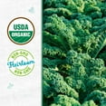 thumbnail image 3 of Back to the Roots Organic Kale 'Vates', 1 Seed packet, 3 of 7