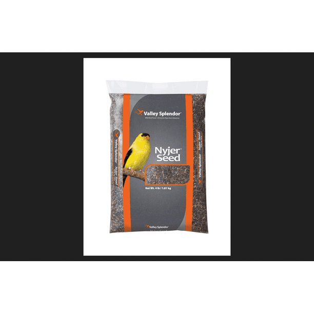 Valley Splendor Songbird Wild Bird Food Nyjer Seed 4 lb.
