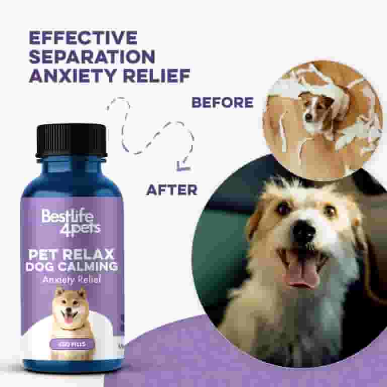 BestLife4Pets Pet Relax Dog Calming Anxiety Relief Natural Pet