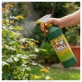 thumbnail image 4 of Insecticida Líquido H24 Progarden Piretroide 1000 ml, 4 of 4