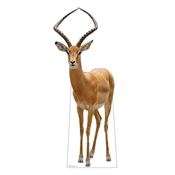 Advanced Graphics 5226 66 x 26 in. Impala Life-Size Cardboard Cutout