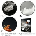thumbnail image 3 of Designart "Grayscale Rainbow Arc Over an Orange Tree" Floral Floater Framed Canvas Print, 3 of 7