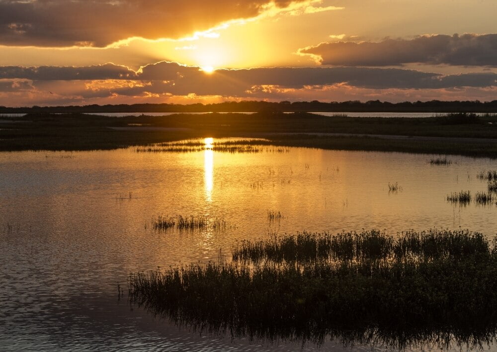 Welder Flats at sunrise, San Antonio Bay, Texas Poster Print by Maresa