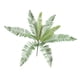 thumbnail image 4 of Enredadera Artificial Plantas de Pared, Plantas de Simulación, Decoración para, 4 of 9