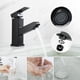 thumbnail image 2 of Grifo de lavabo de acero negro Laklulu con grifo extraíble moderno de cromo para lavabo y grifo de inodoro de baño Adecuado para baño, 2 of 5