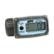 GPI 01N31GM - Digital Water Meter (113255-4)