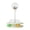 B, variant on C 360 Rotation Cat Track Toy With Treat Ball Bell Feathers Transparent Interactive Puzzle For Indoor Kittens Self Play