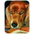 thumbnail image 1 of Carolines Treasures 7315LCB Irish Setter Serious Glass Cutting Board- Large, 1 of 1