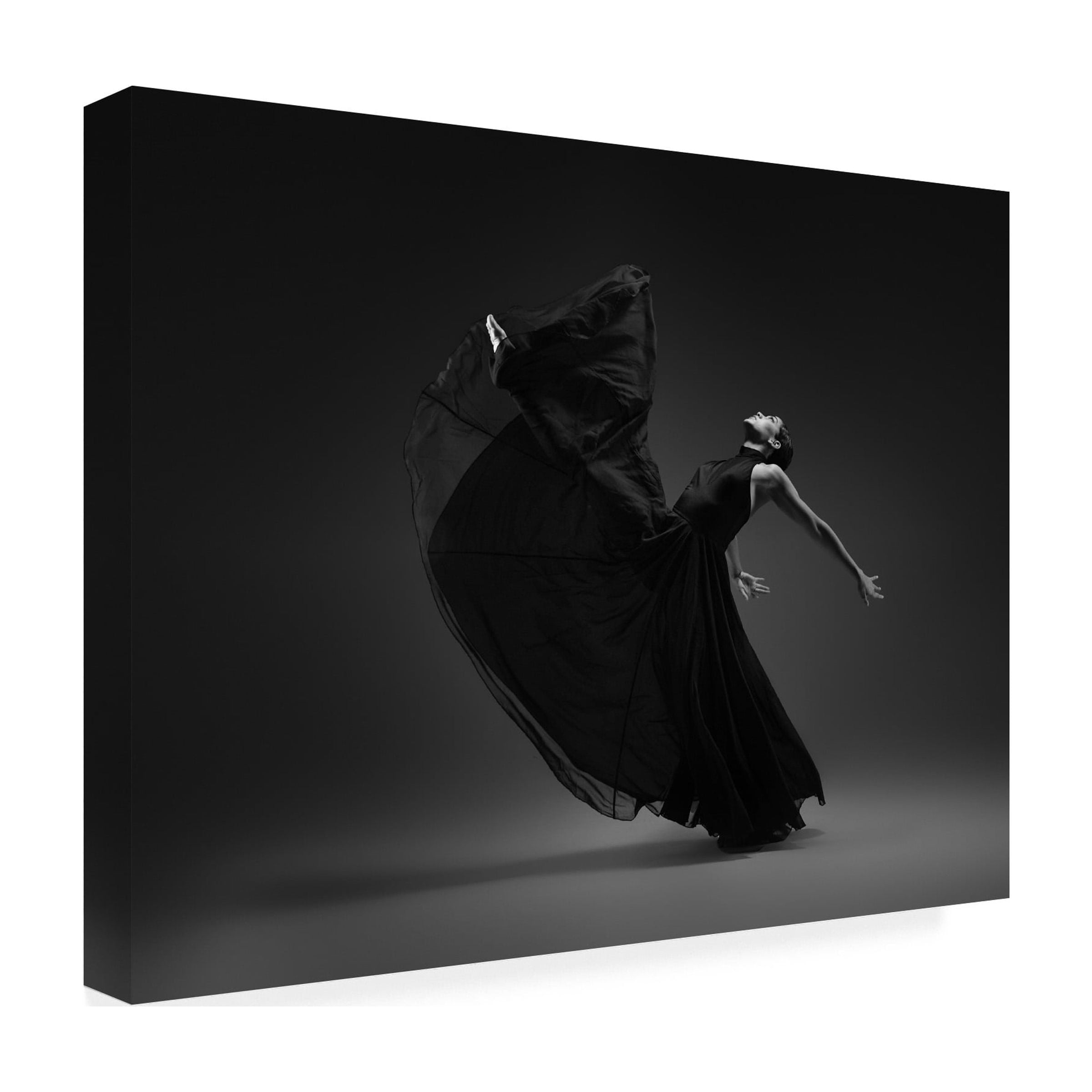 Rob Li 'Dance 2' Canvas Art