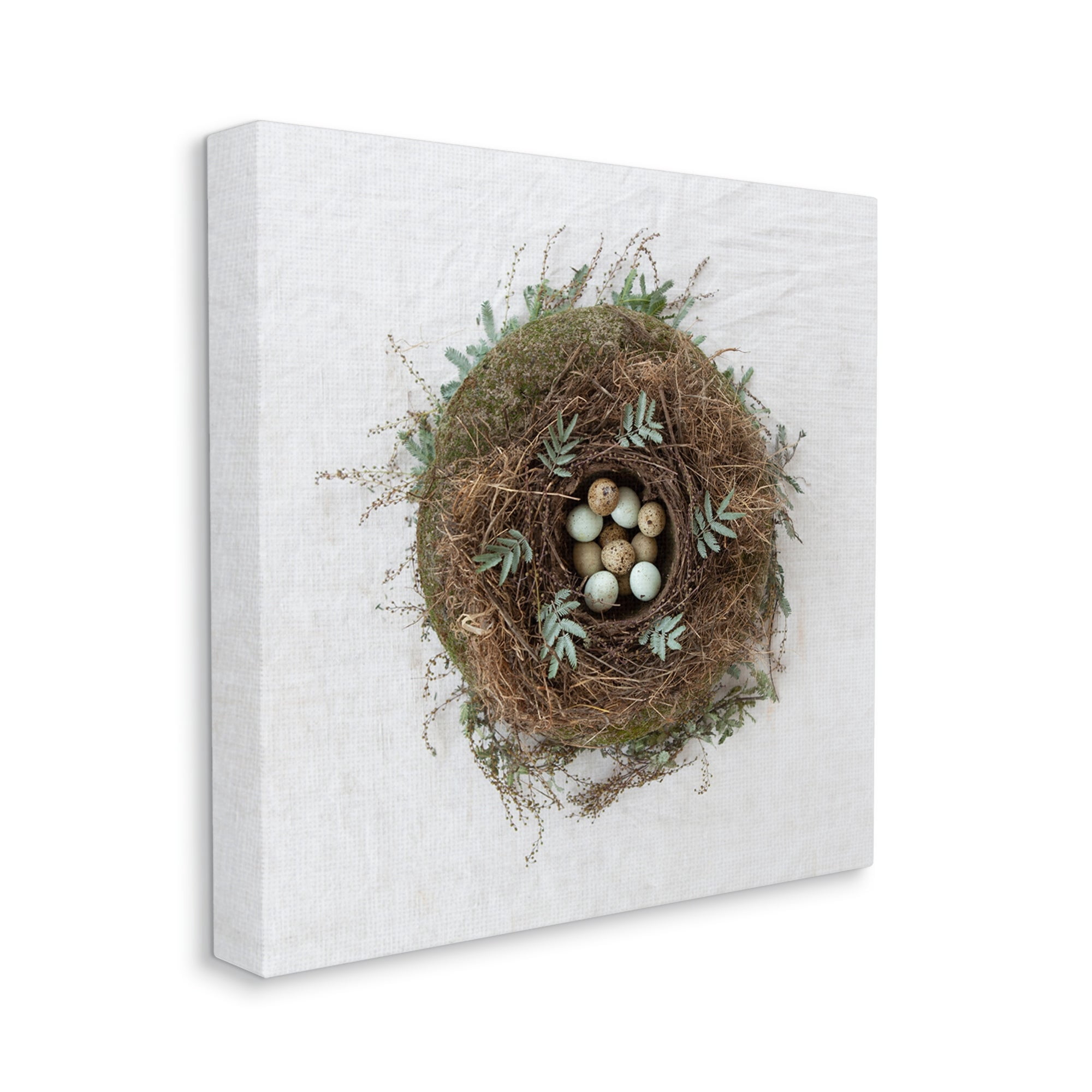 Stupell Industries Peaceful Bird Nest Speckled Eggs Nature Photography Photograph Gallery Wrapped Canvas Print Wall Art, Design by Tania Soderman