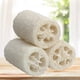 thumbnail image 2 of Esponja Vegetal para Baño Grande Btafrte, 2 of 9