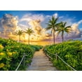 thumbnail image 2 of 3000 Piece Jigsaw Puzzles, Colorful Sunrise in Miami, USA, Adult Puzzles, Castorland C-300617-2, 2 of 5