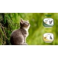 thumbnail image 3 of Paquete de 20 latas Nupec felino urinary y haitball humedo 100 gr, 3 of 4