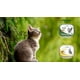 thumbnail image 3 of Paquete de 20 latas Nupec felino urinary y haitball humedo 100 gr, 3 of 4