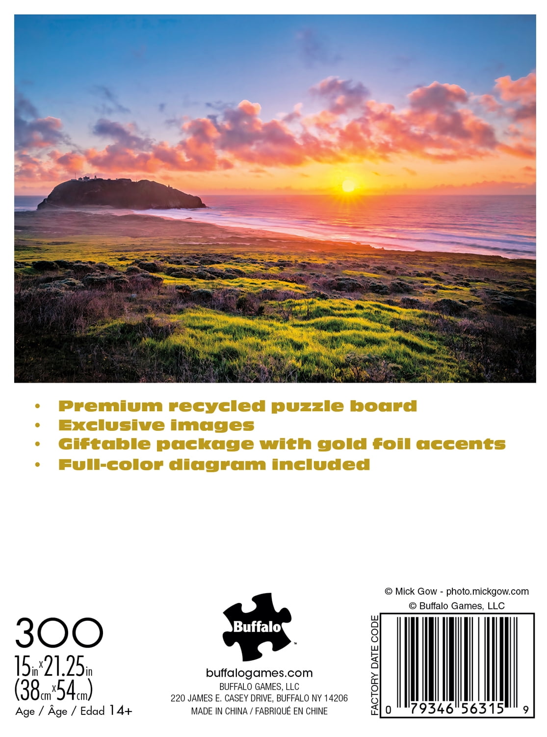 Buffalo Games 300-Piece Gold Collection Point Sur Jigsaw Puzzle