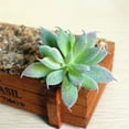 thumbnail image 6 of Ludlz Mini Fake Succulents Artificial Plants - Ceramic White Potted Succulents - Faux Succulents Plants for Home Office Shelf Decorations Wedding Party Home Desk Bonsai Decor, 6 of 7