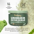 Detox Scrub 8.8 oz with Peppermint, Aloe Vera and Walnut Shell Powder