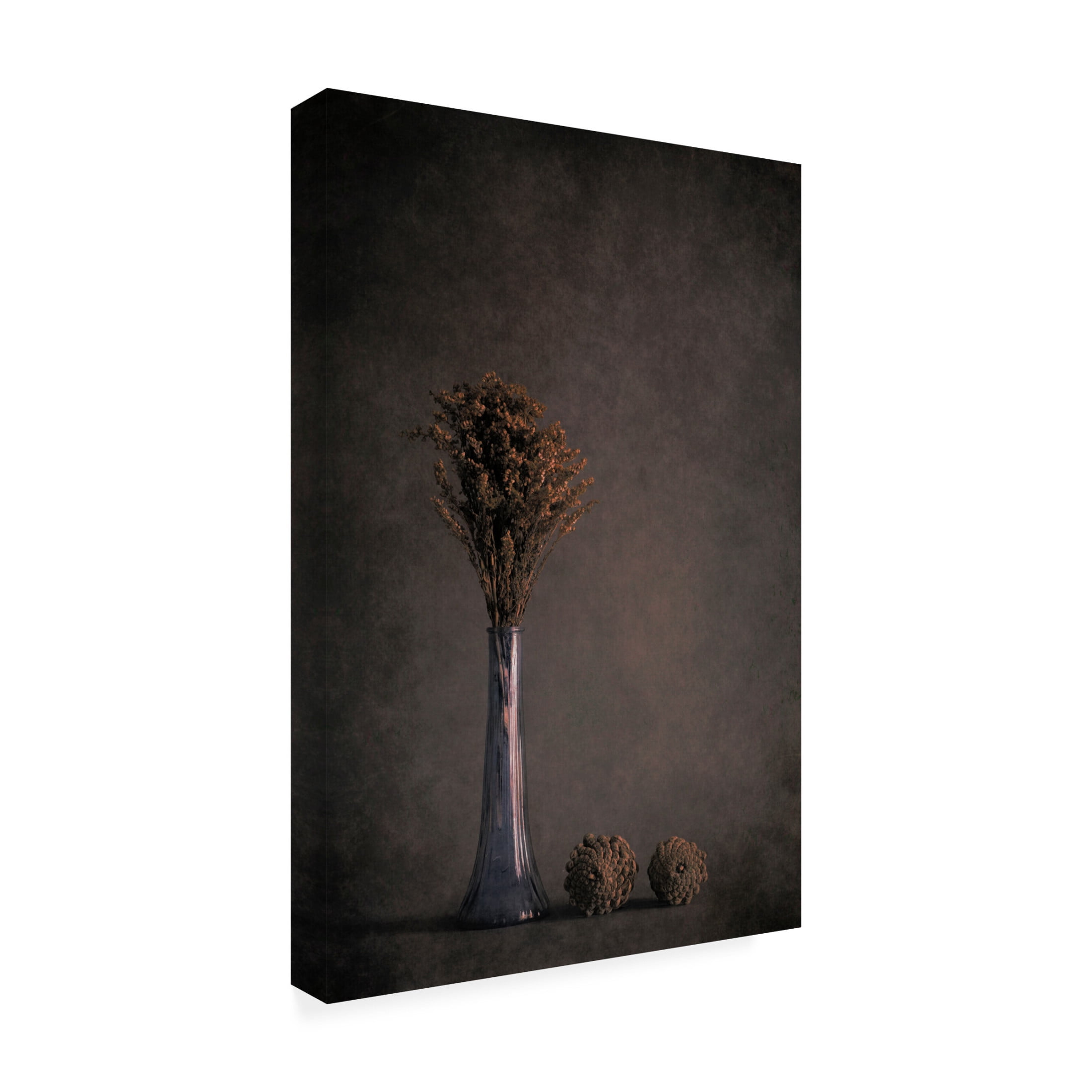 Canvas Wall Art - Cicek Kiral 'Standing Tall' Wall Art for Living Room, Bedroom, or Office Décor by Trademark Fine Art - 12 x 19 Inches