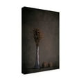thumbnail image 4 of Canvas Wall Art - Cicek Kiral 'Standing Tall' Wall Art for Living Room, Bedroom, or Office Décor by Trademark Fine Art - 30 x 47 Inches, 4 of 4