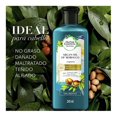 thumbnail image 2 of Shampoo Herbal Essences Bio:renew argan oil of morocco 245 ml, 2 of 4