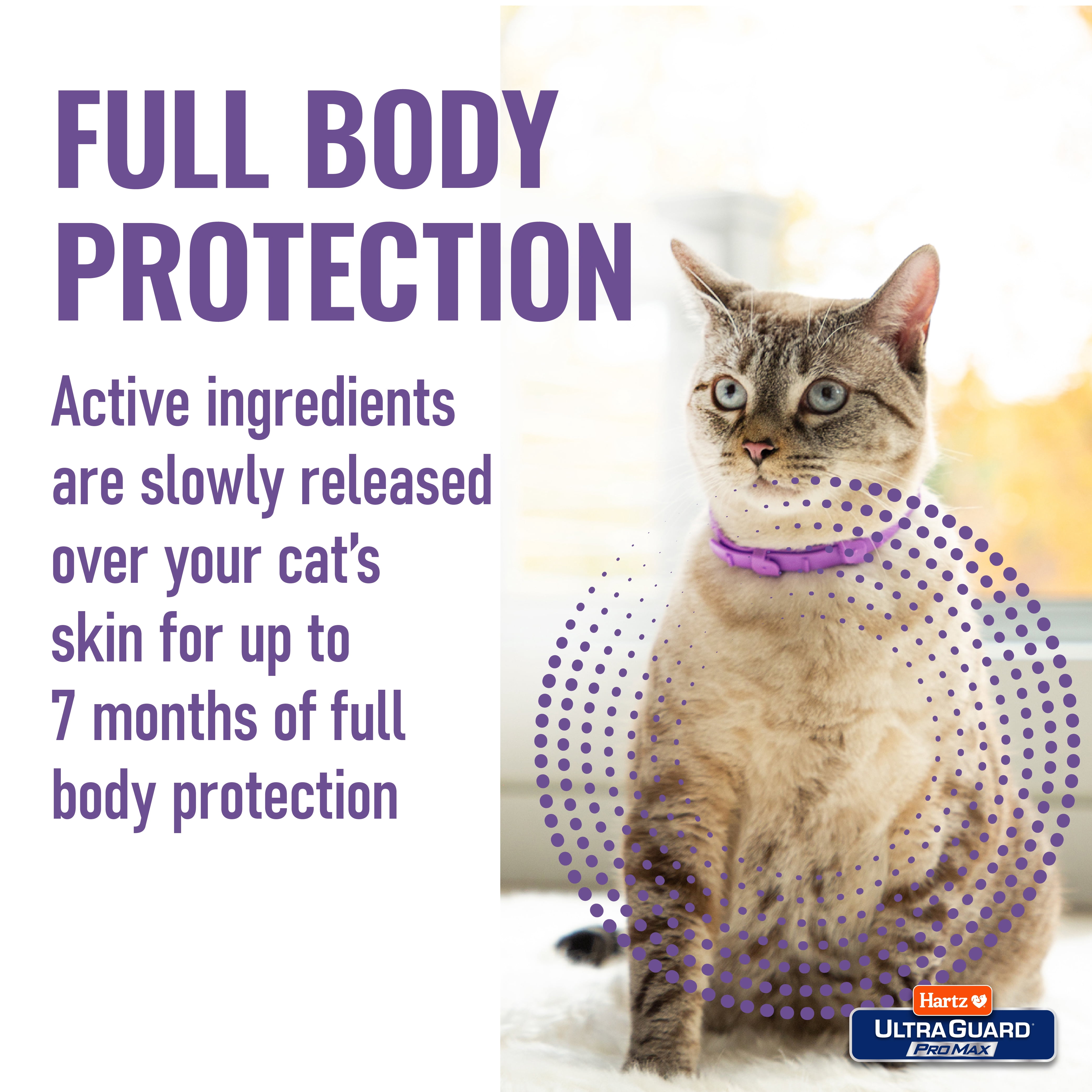 Hartz UltraGuard ProMax Flea & Tick Collar for Cats & Kittens with Comfort Technology, 2 Pack