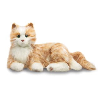 perfect petzzz orange tabby
