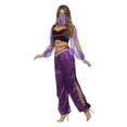 thumbnail image 2 of Arabian Princess Costume Adult Purple Around The World Small Female Fancy Dress Party Book Week Halloween, 2 of 3