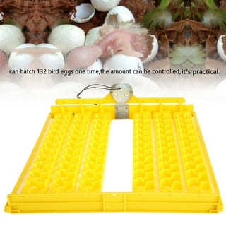 AutoCoop LayLight Chicken Coop automatic LED light w/ timer for egg la –  Incubator Warehouse