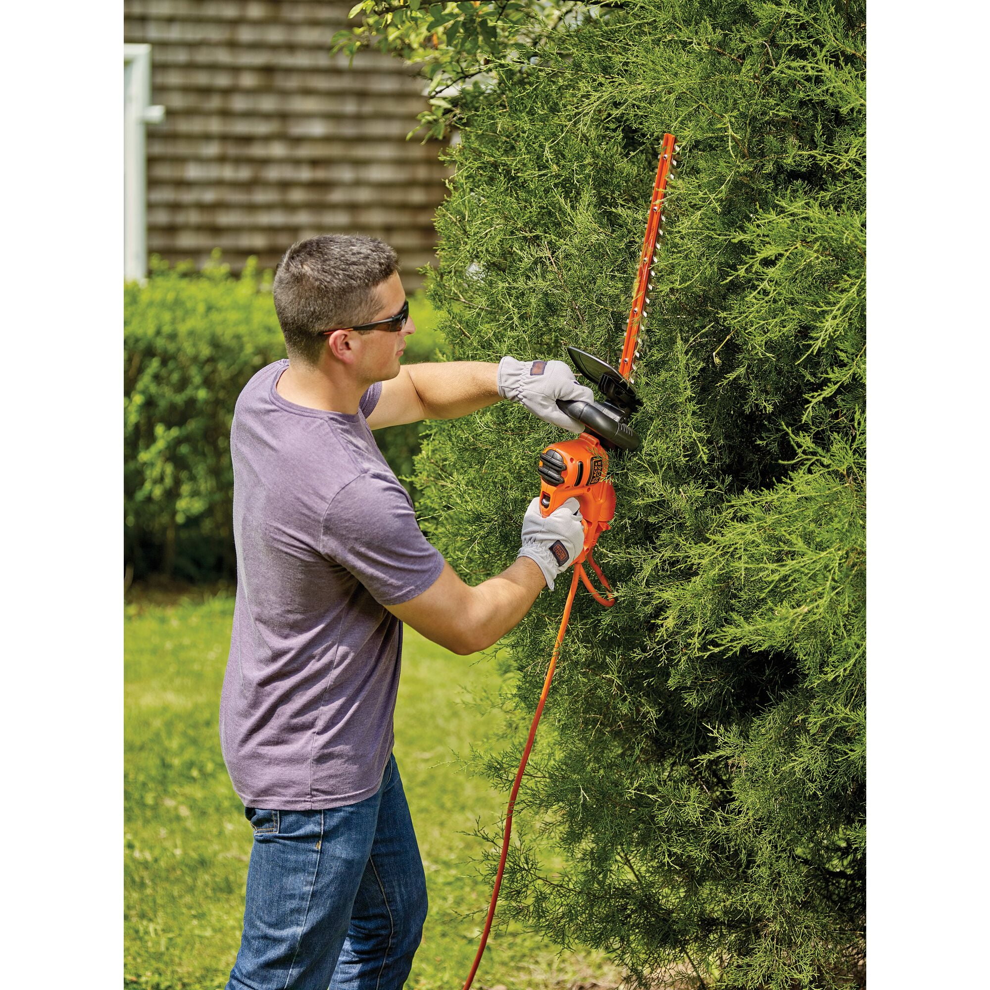 Beht100 hedge sale trimmer