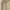 Beige, variant on Pejock Womens Plus Size Summer Tops Outfits Women's Casual Short Sleeve Round Neck Summer Loose Tee Shirts Blouse