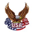 thumbnail image 1 of CD Visionary Application DSX Drapeau USA avec Écusson Aigle, 1 of 2