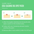 thumbnail image 2 of Soo'AE Patch Gros Bouton Cica Calmant, 2 of 8