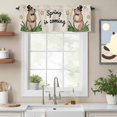 thumbnail image 2 of Groundhog Day Valance Curtain for Windows Spring Is Coming Cartoon Groundhog Stars Grass Linen Texture Rod Pocket Curtain Valances Short Window Treatments for Kitchen Bathroom Laundry 42 x 18 Inch, 2 of 9