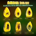 thumbnail image 4 of Amber Gemstone Dig Kit，Educational Science Kits for Kids Age 6 7 8 9 10，Crystals and Gemstones Gifts for 6+ year old girls boys Gem Digging Four Piece Set, 4 of 5